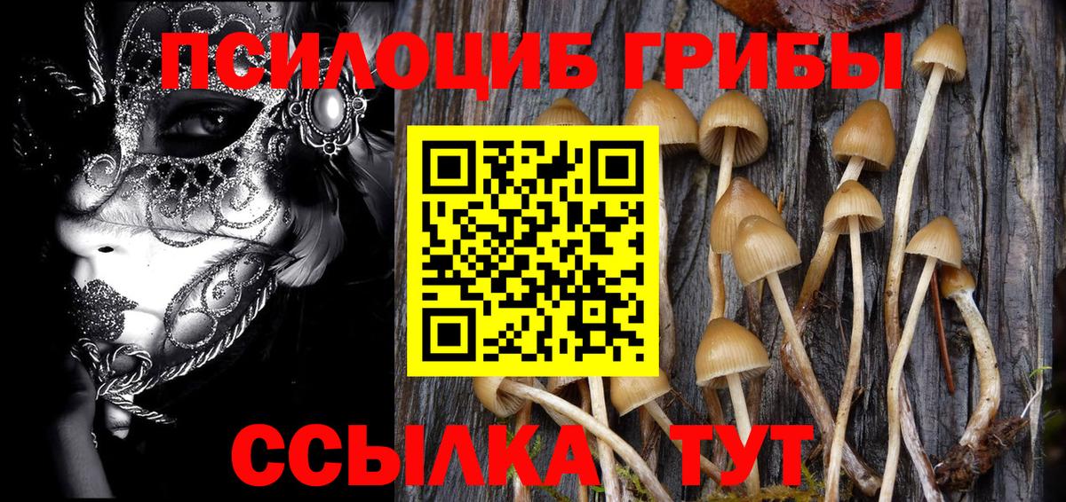 Псилоцибиновые грибы ЛСД Элиста