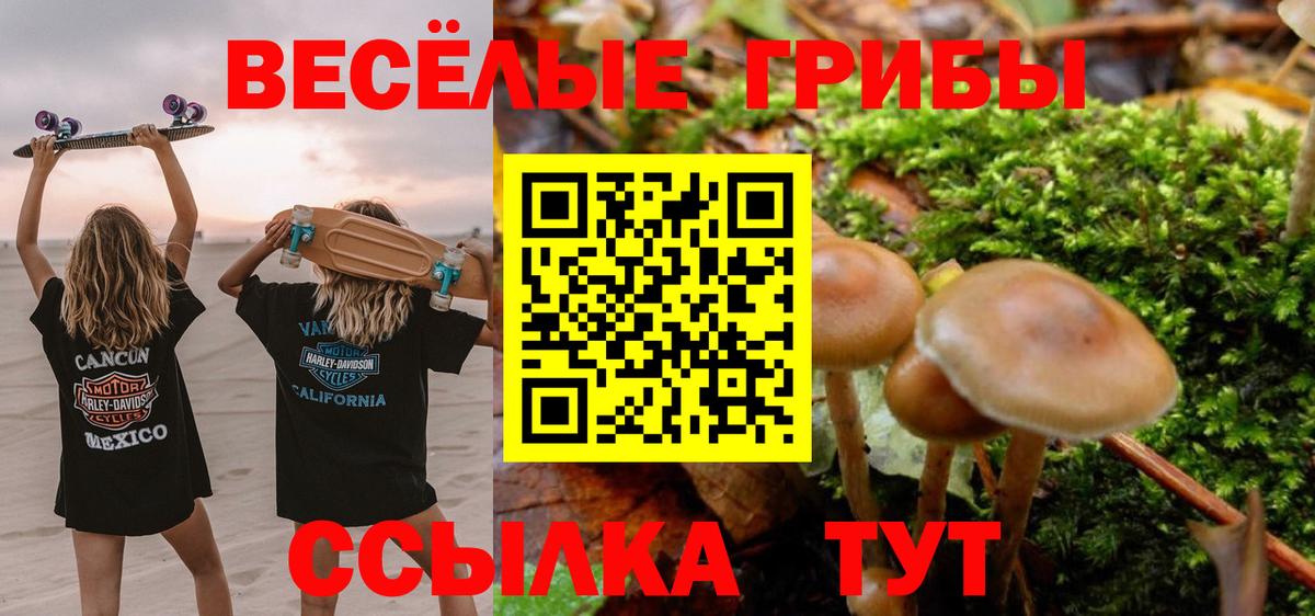 Элиста  Галлюциногенные грибы прущие грибы  Вход с VPN 